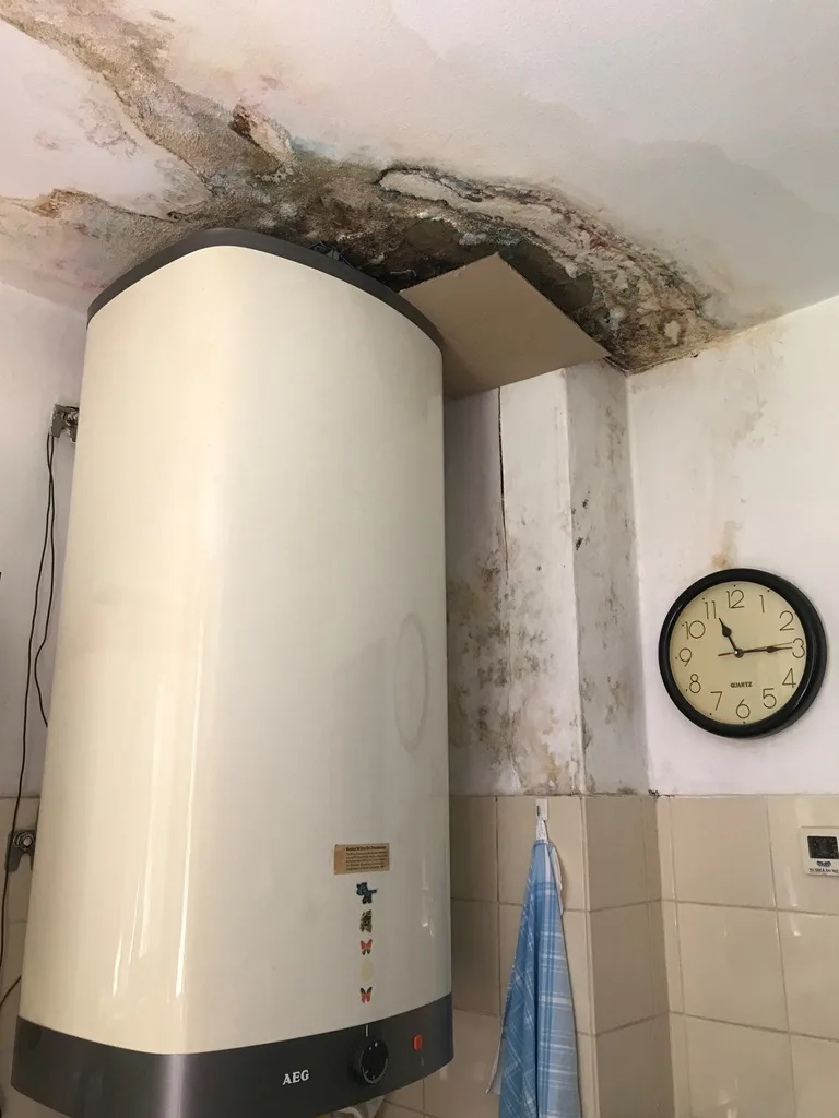 Schimmel im Bereich des Boilers