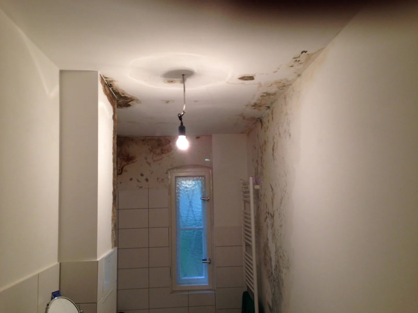 Schwerer Schimmelbefall an der Wand