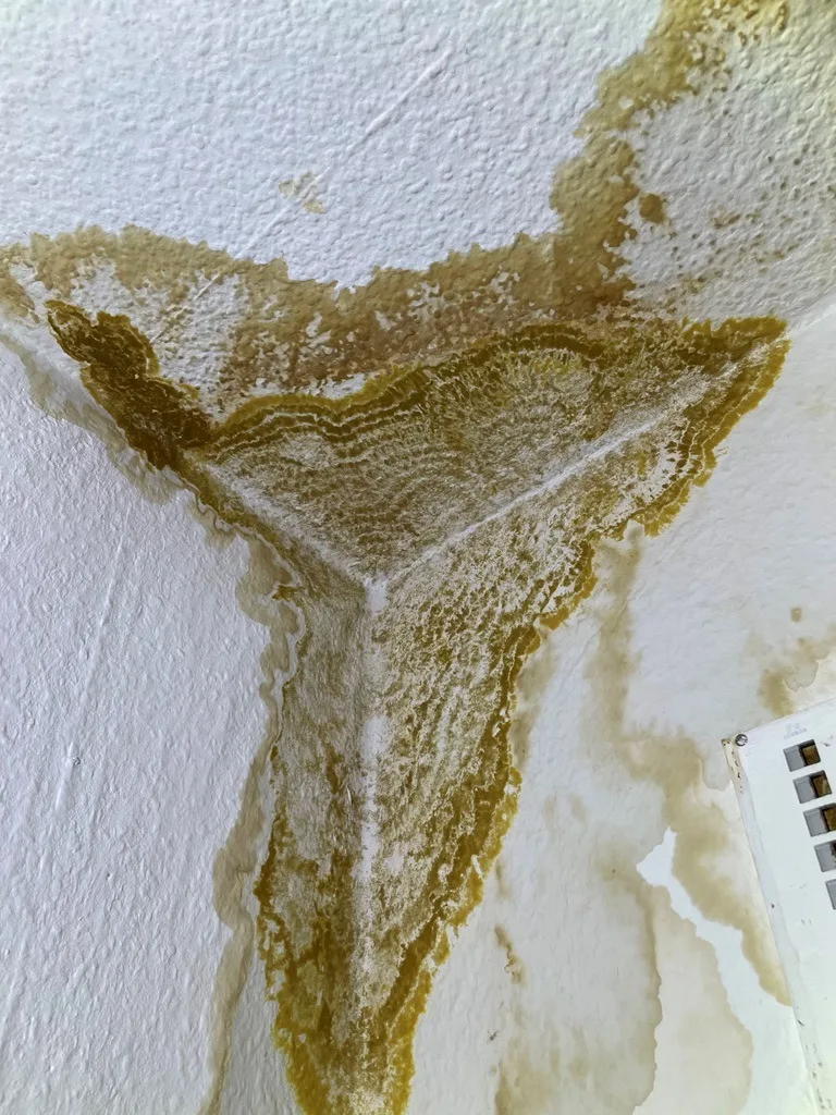 Wasserfleck an der Decke